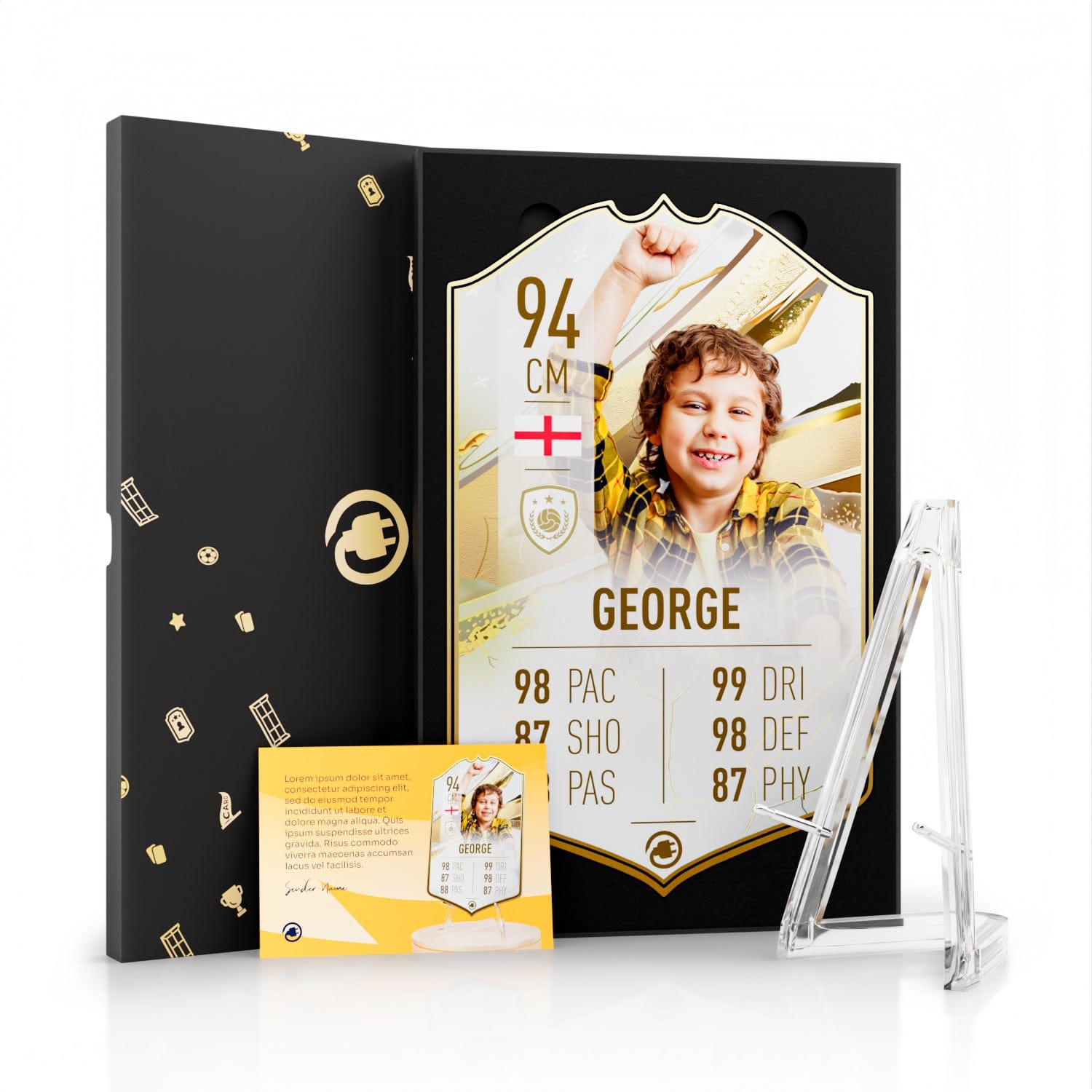 Platinum Gift Bundle Medium Standard CardsPlug